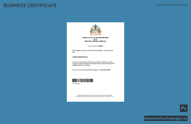 Guyana-Registrierungsbescheinigung – Beispielansicht in Word und PDF